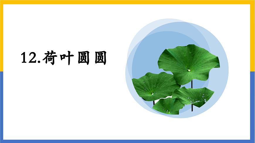 第12课《荷叶圆圆》课件 部编版语文一年级下册第5页