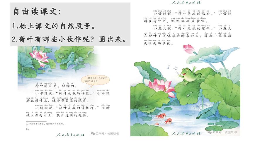 第12课《荷叶圆圆》课件 部编版语文一年级下册第6页