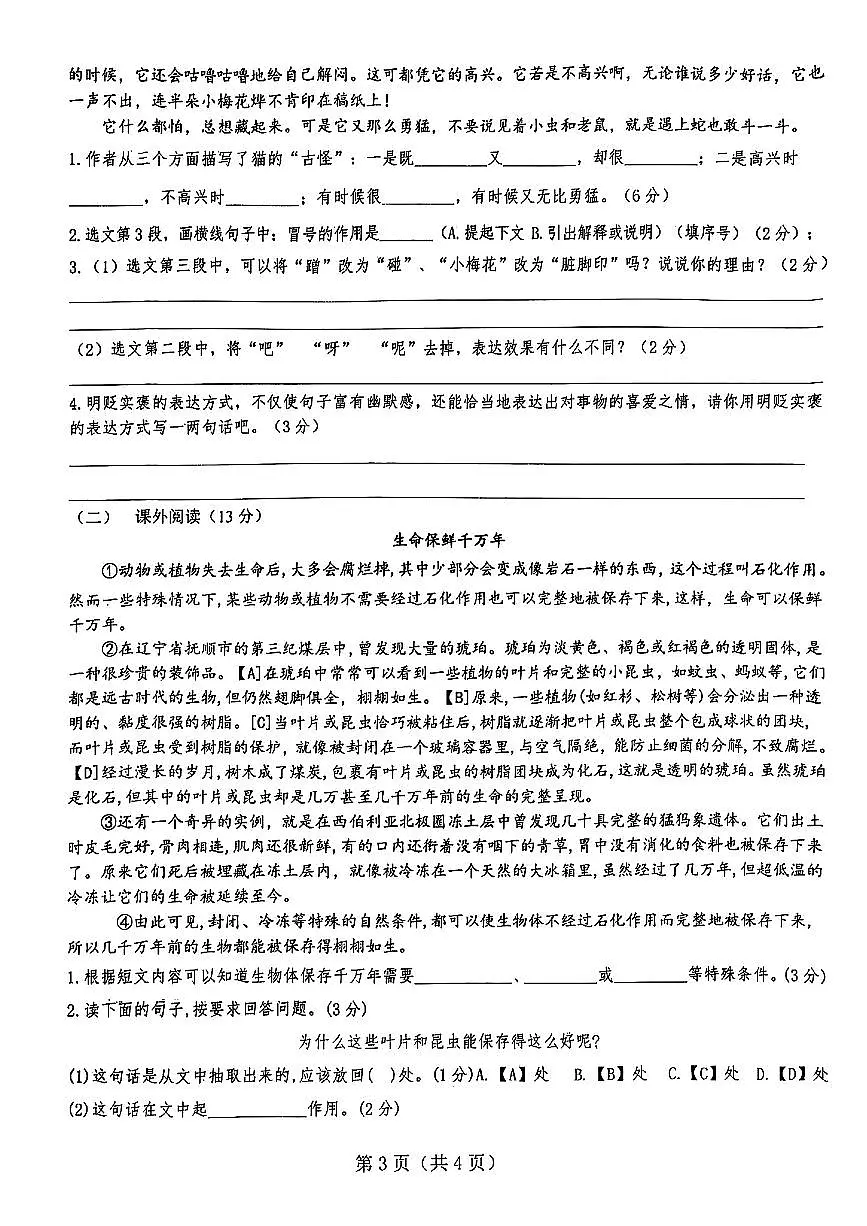 广东省揭阳市揭东区2024-2025学年四年级下语文期中试卷第3页
