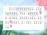《端午粽》課件 部編版語文一年級下冊