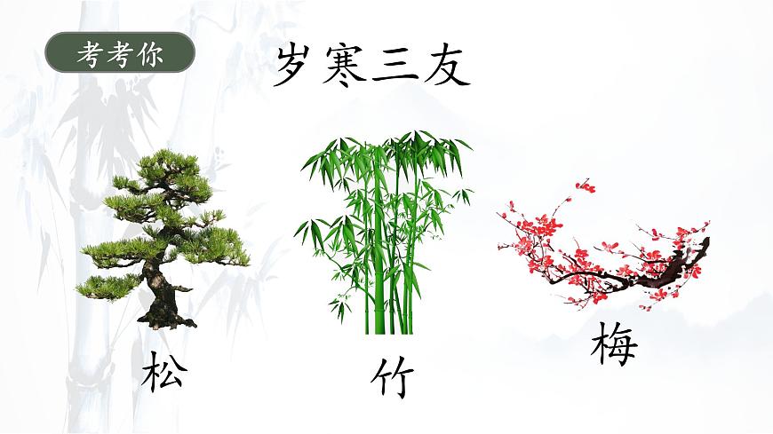 统编版六年级语文下册课件《10 古诗三首-竹石》第5页