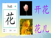小學(xué)語文統(tǒng)編版（2024）一年級下冊（2024） 第一單元1 春夏秋冬 課件