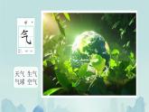 小學(xué)語文統(tǒng)編版（2024）一年級下冊（2024）第一單元3 小青蛙 課件