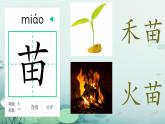 小學(xué)語文統(tǒng)編版（2024）一年級下冊（2024）第一單元3 小青蛙 課件