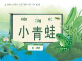 小學(xué)語文統(tǒng)編版（2024）一年級下冊（2024）第一單元3 小青蛙 課件