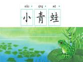 小學(xué)語文統(tǒng)編版（2024）一年級下冊（2024）第一單元3 小青蛙 課件