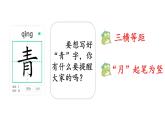 小學(xué)語文統(tǒng)編版（2024）一年級下冊（2024）第一單元3 小青蛙 課件