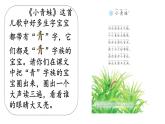 小學(xué)語文統(tǒng)編版（2024）一年級下冊（2024）第一單元3 小青蛙 課件