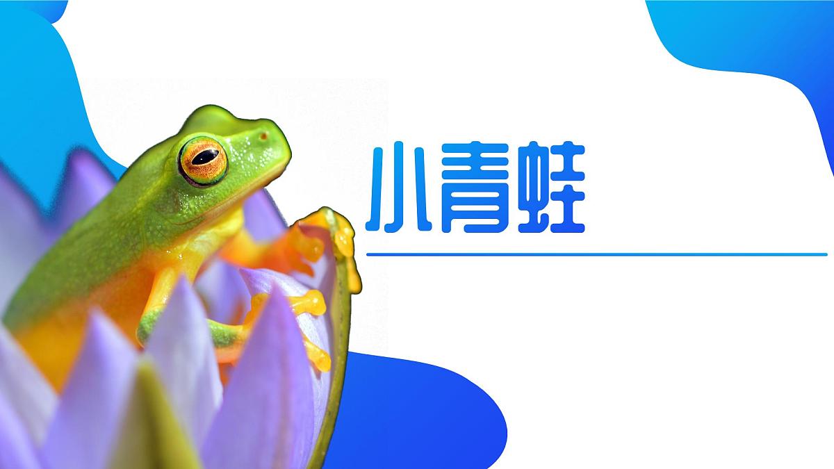 《小青蛙》课件 部编版语文一年级下册第1页
