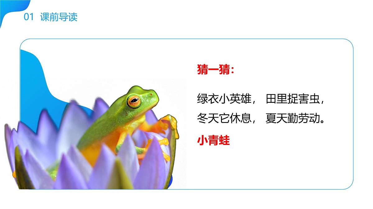《小青蛙》课件 部编版语文一年级下册第2页