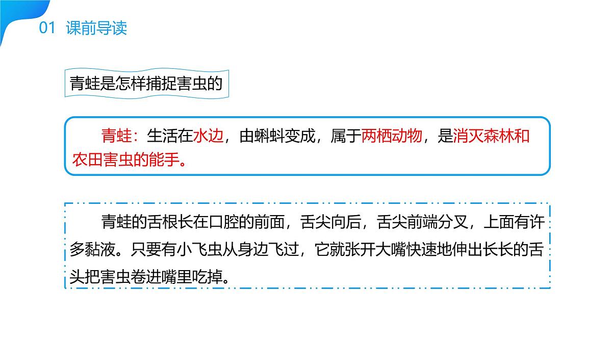 《小青蛙》课件 部编版语文一年级下册第3页