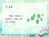 《古詩二首：池上》課件 部編版語文一年級(jí)下冊(cè)
