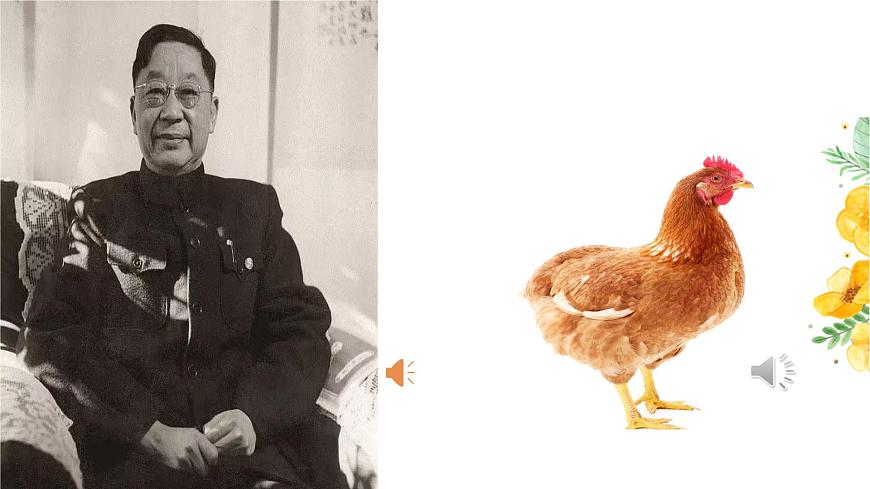 14.《母鸡》课件 部编版语文四年级下册 (2)第5页