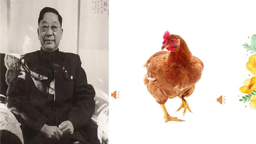 14.《母鸡》课件 部编版语文四年级下册 (2)第6页