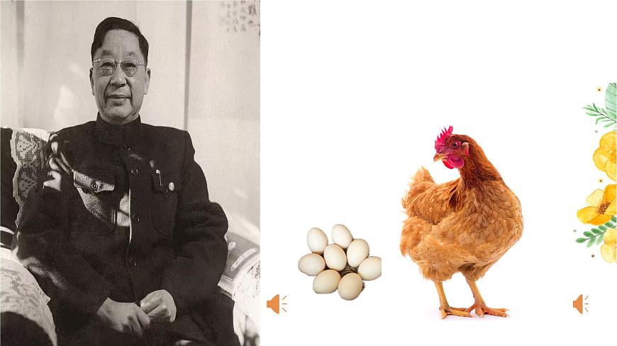 14.《母鸡》课件 部编版语文四年级下册 (2)第7页