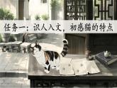 13.《猫》课件 部编版语文四年级下册