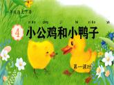小学语文统编版（2024）一年级下册3.4 小公鸡和小鸭子 课件