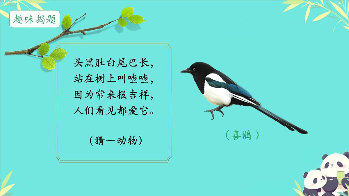 小学语文 统编版（2024） 一年级下册3.5 树和喜鹊 课件第2页