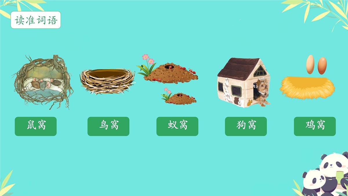 小学语文 统编版（2024） 一年级下册3.5 树和喜鹊 课件第8页