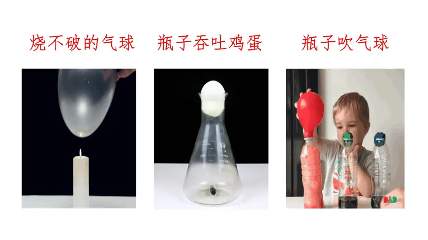 《习作：我做了一项小实验》课件 部编版语文三年级下册第2页