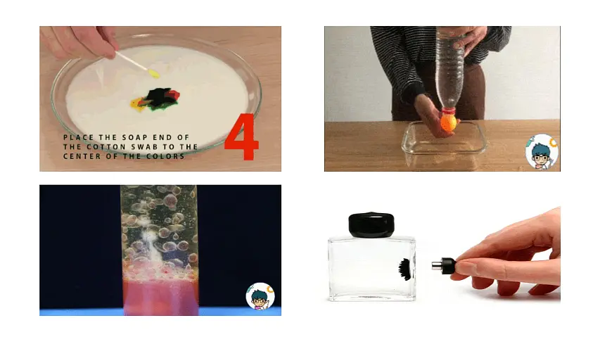 《习作：我做了一项小实验》课件 部编版语文三年级下册第3页