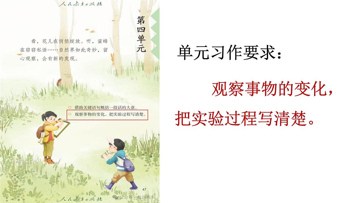 《习作：我做了一项小实验》课件 部编版语文三年级下册第6页