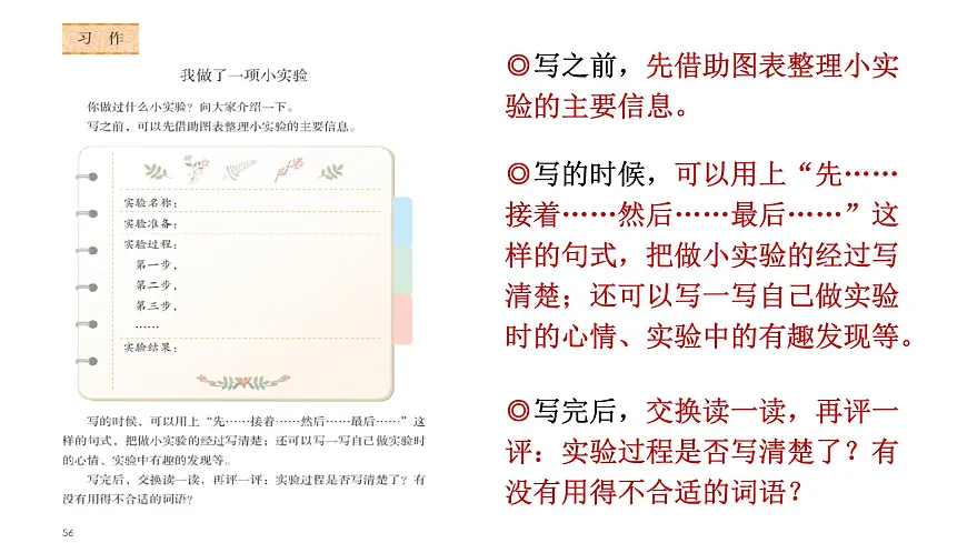 《习作：我做了一项小实验》课件 部编版语文三年级下册第7页