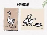 15《白鹅》课件 部编版语文四年级下册