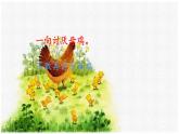 《母鸡》课件 部编版语文四年级下册