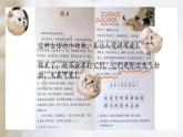 《猫》教学课件课件 部编版语文四年级下册