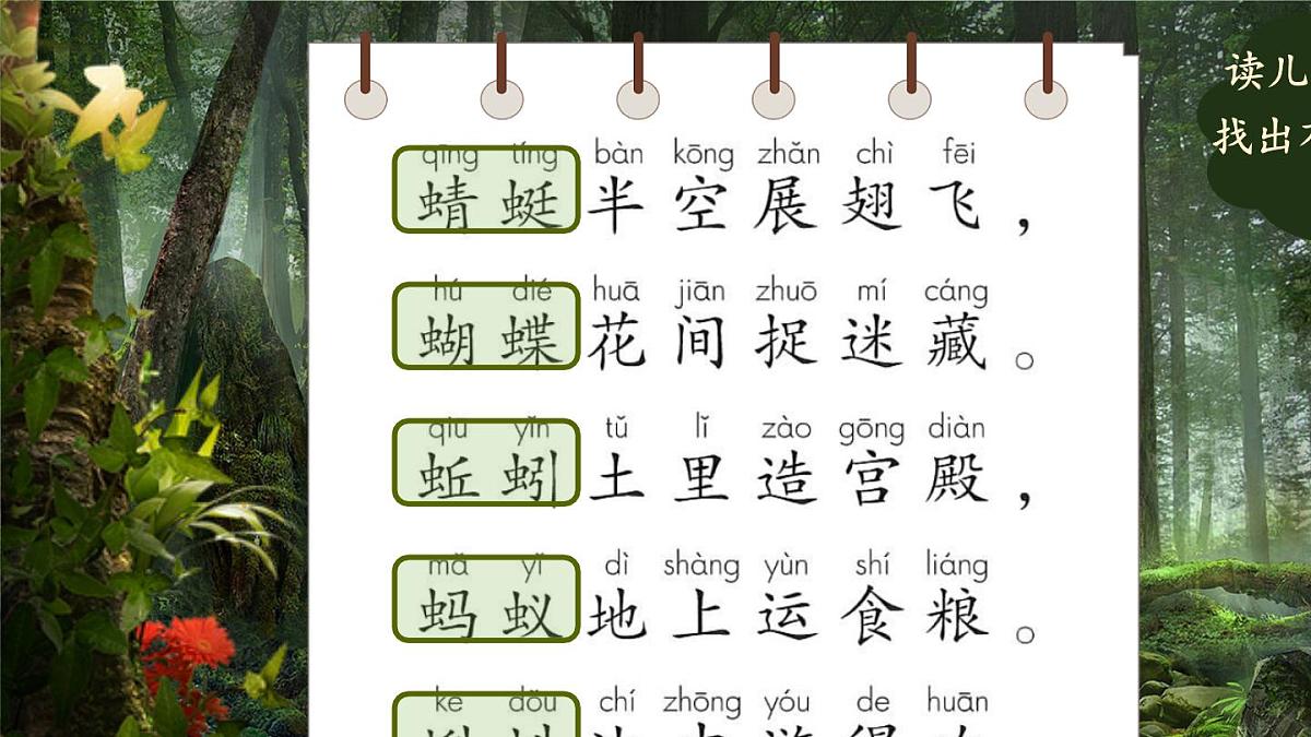 小学语文统编版（2024）一年级下册5.5 动物儿歌 课件第2页