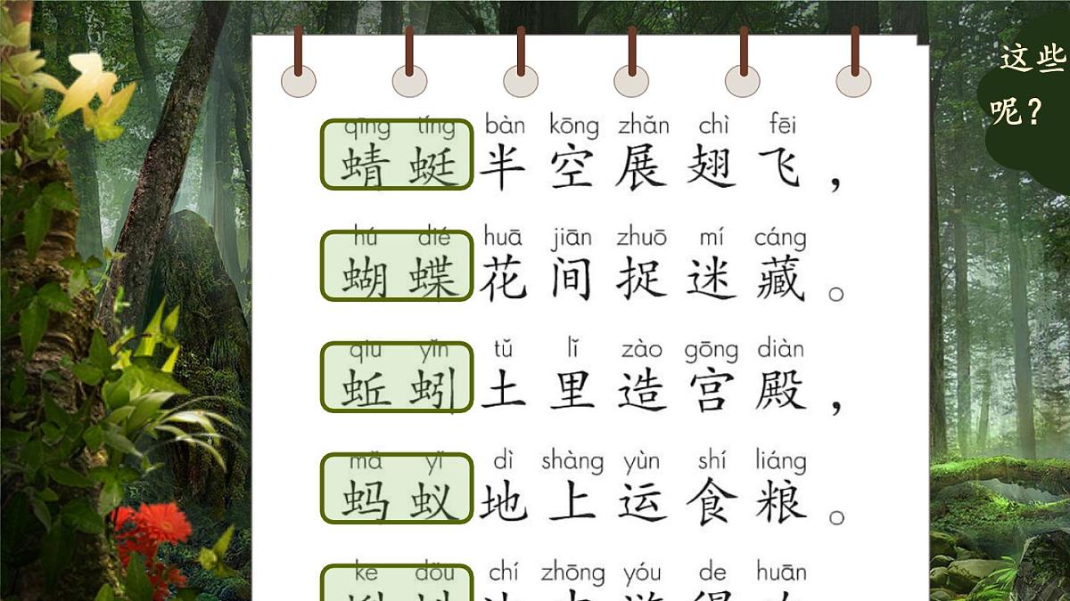 小学语文统编版（2024）一年级下册5.5 动物儿歌 课件第6页