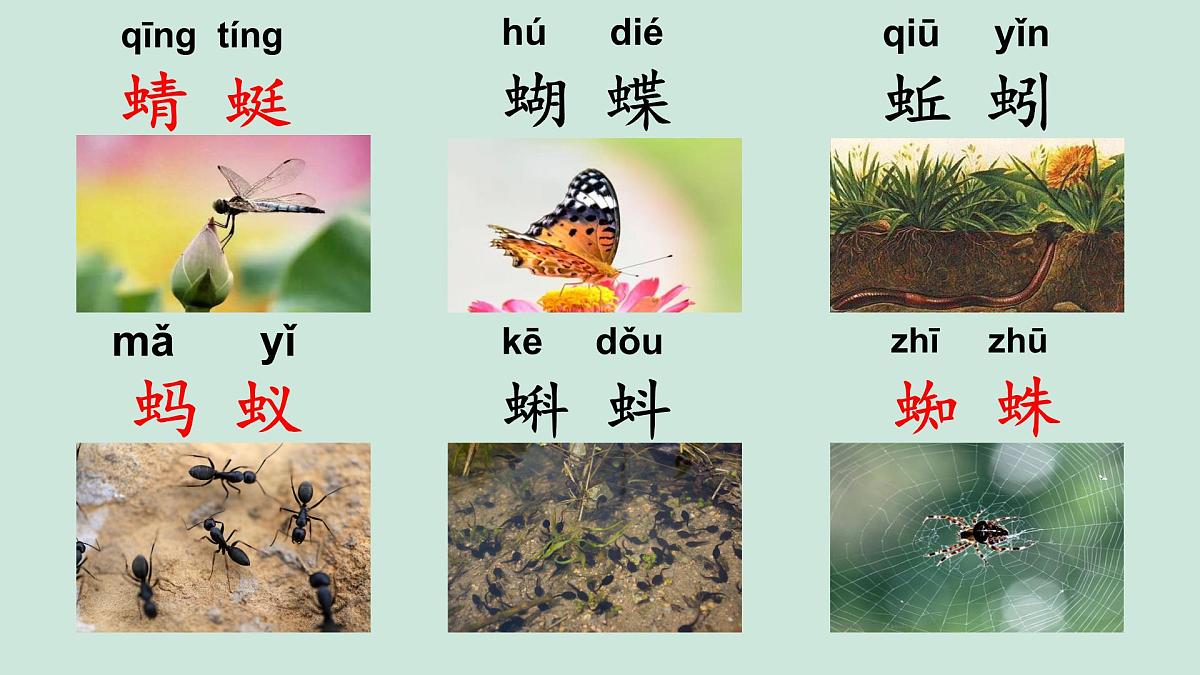 小学 语文统编版（2024）一年级下册5.5 动物儿歌 课件第4页