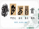 小學語文統(tǒng)編版（2024）一年級下冊6.10 古詩二首 課件