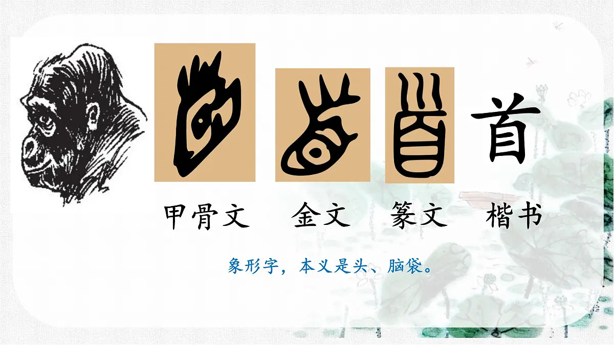 小学语文统编版（2024）一年级下册6.10 古诗二首 课件第2页