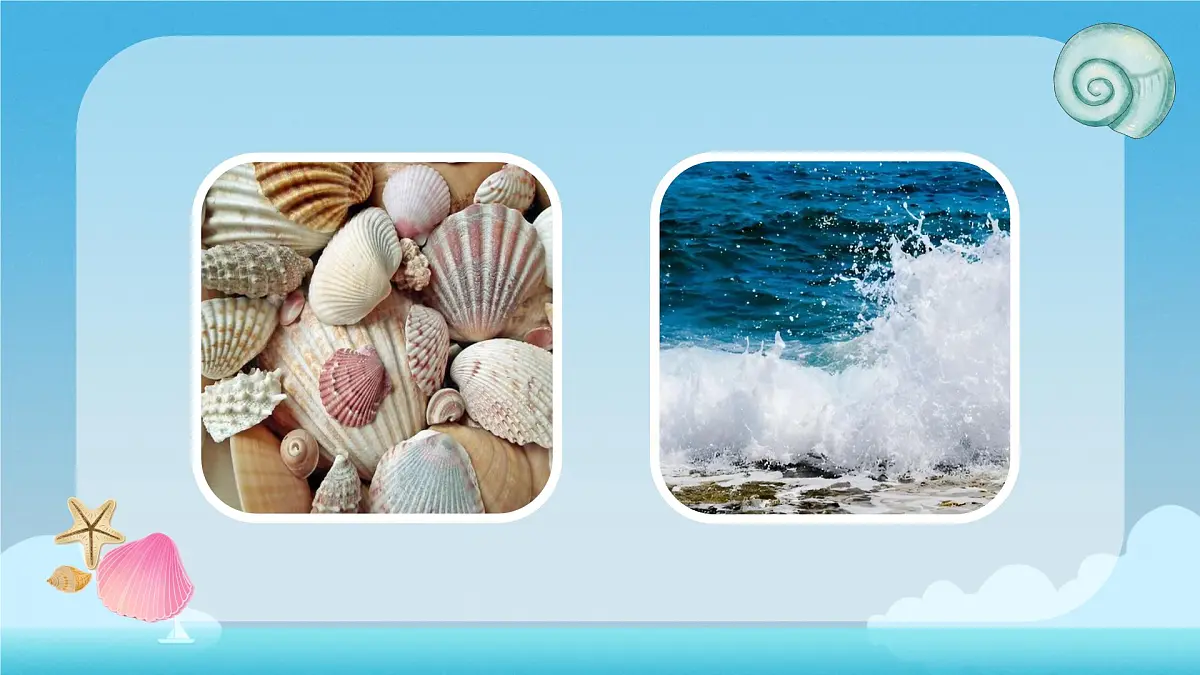 小学语文统编版（2024）一年级下册6.11 浪花 课件第3页