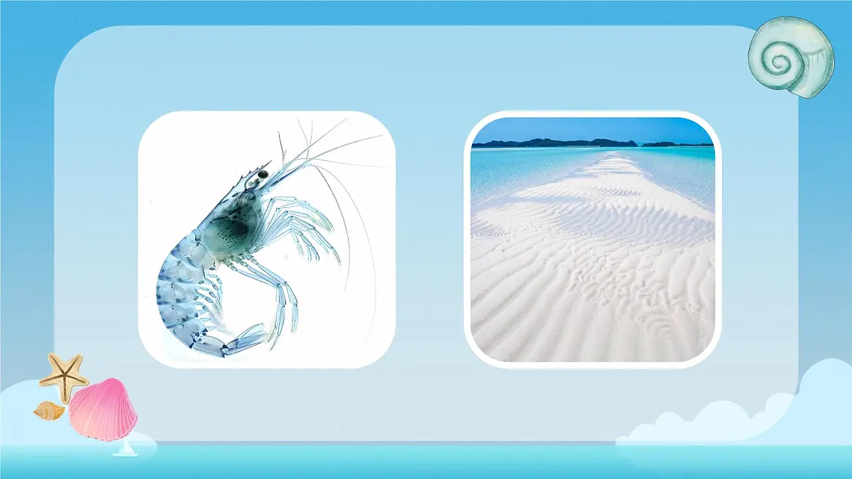 小学语文统编版（2024）一年级下册6.11 浪花 课件第4页