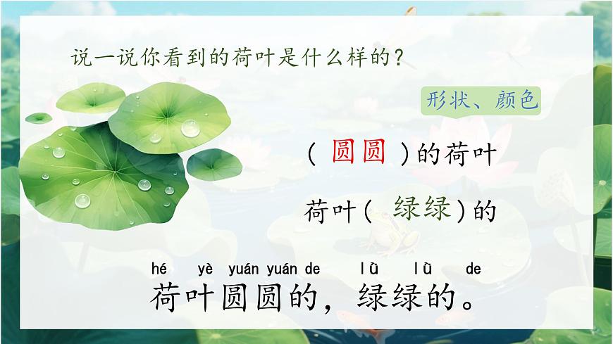 小学语文统编版（2024）一年级下册6.12 荷叶圆圆 课件第2页