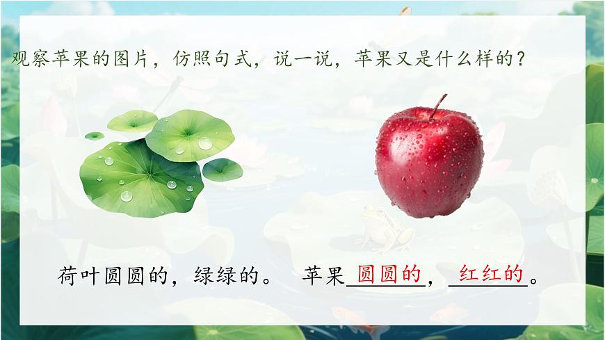 小学语文统编版（2024）一年级下册6.12 荷叶圆圆 课件第3页