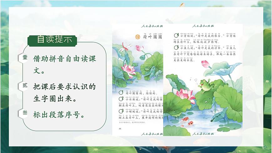小学语文统编版（2024）一年级下册6.12 荷叶圆圆 课件第5页
