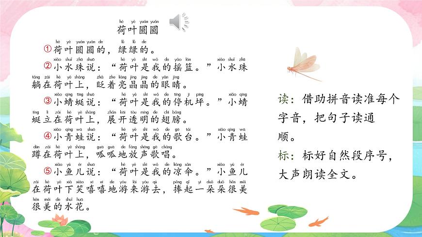 小学语文统编版（2024）一年级下册6.12 荷叶圆圆 课件第3页