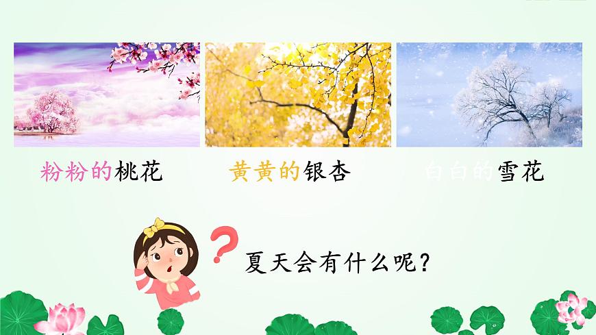 小学语文统编版（2024）一年级下册6.12 荷叶圆圆 课件第1页