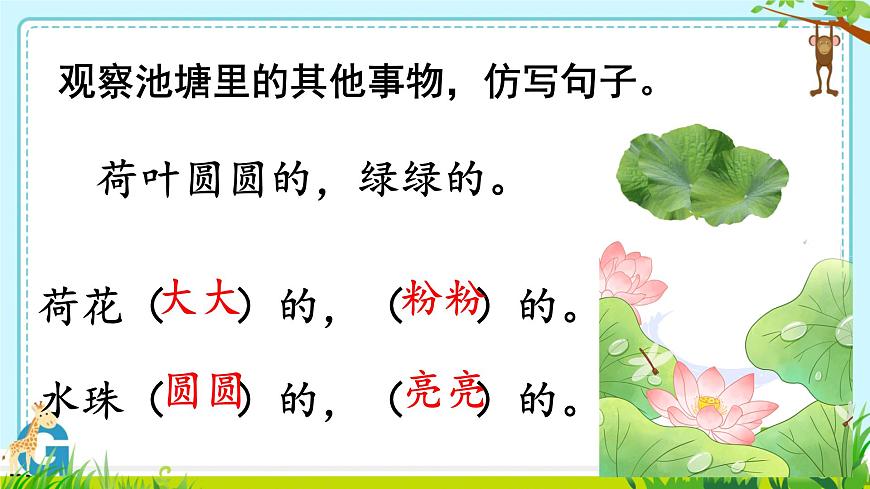 小学语文统编版（2024）一年级下册6.12 荷叶圆圆 课件第7页