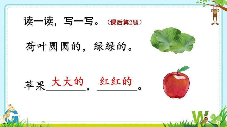 小学语文统编版（2024）一年级下册6.12 荷叶圆圆 课件第8页