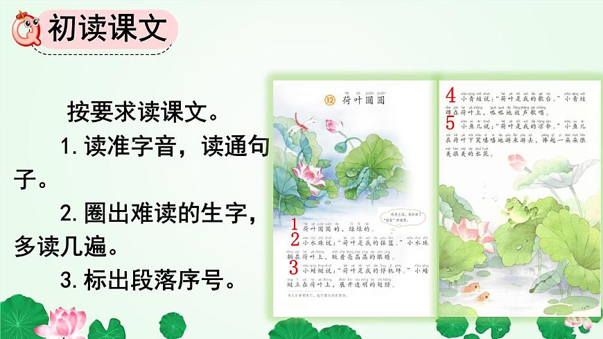 小学语文统编版（2024）一年级下册6.12 荷叶圆圆 课件第3页
