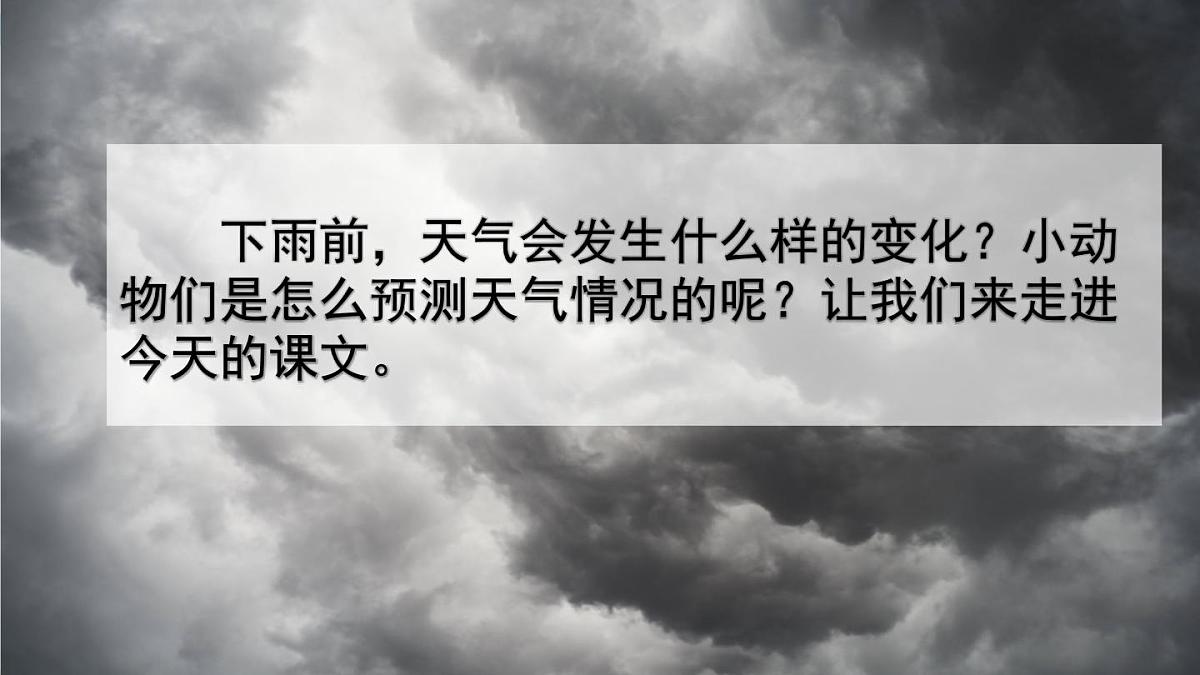小学语文统编版（2024）一年级下册6.13 要下雨了 课件第5页