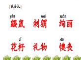 第3课 《开满鲜花的小路》课件 部编版语文二年级下册