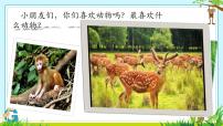 小学语文统编版（2024）一年级下册（2024）动物王国开大会课前预习ppt课件