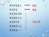 五上《習作：鯨、風向袋的制作》課件