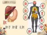 小學(xué)語文統(tǒng)編版（2024）一年級下冊4.8 夜色 課件
